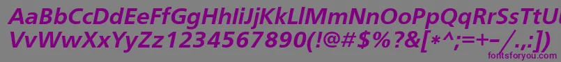 Шрифт FreesetdemicItalic – фиолетовые шрифты на сером фоне