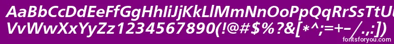 フォントFreesetdemicItalic – 紫の背景に白い文字