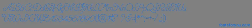 フォントRenaniaTrash – 灰色の背景に青い文字