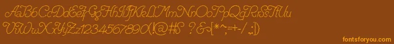 RenaniaTrash-Schriftart – Orangefarbene Schriften auf braunem Hintergrund