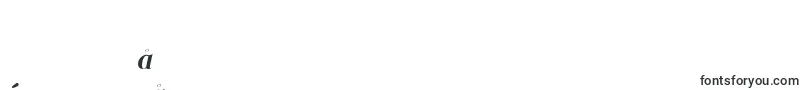 フォントSantanderItalic – 中国の文字（簡体字）