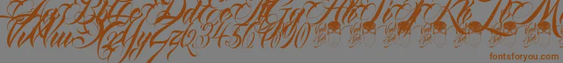Police QueenAnhaScript – polices brunes sur fond gris