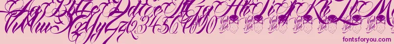 QueenAnhaScript Font – Purple Fonts on Pink Background