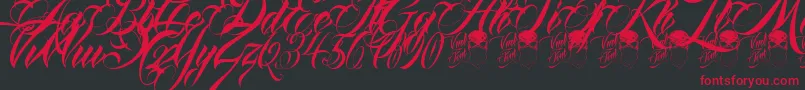 QueenAnhaScript Font – Red Fonts on Black Background