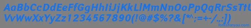 フォントYanuscBolditalic – 灰色の背景に青い文字