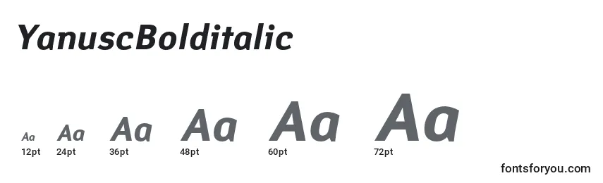 Размеры шрифта YanuscBolditalic