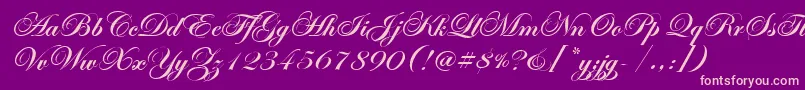 EdwardianScrItcTtBold-Schriftart – Rosa Schriften auf violettem Hintergrund