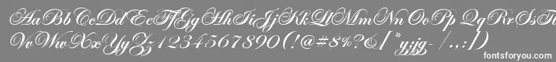 EdwardianScrItcTtBold Font – White Fonts on Gray Background