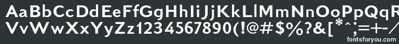 Kudrashovsansc Font – White Fonts