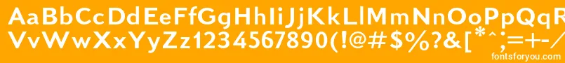 フォントKudrashovsansc – オレンジの背景に白い文字