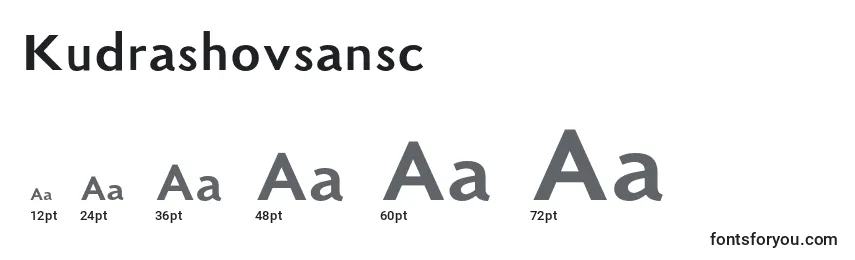 Kudrashovsansc Font Sizes