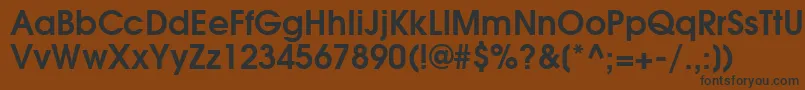 TexGyreAdventorBold Font – Black Fonts on Brown Background