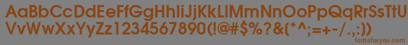 TexGyreAdventorBold Font – Brown Fonts on Gray Background