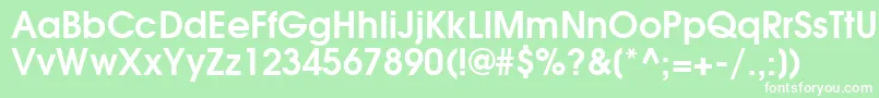 TexGyreAdventorBold Font – White Fonts on Green Background