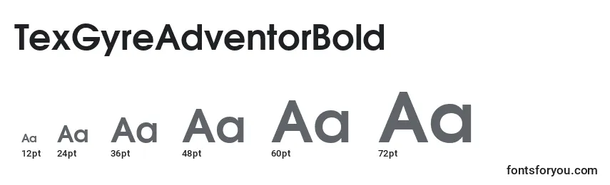 TexGyreAdventorBold Font Sizes