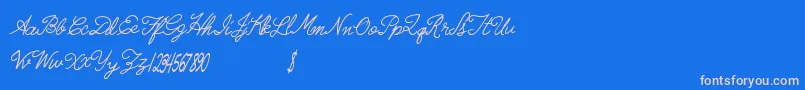 Radicalllamas-Schriftart – Rosa Schriften auf blauem Hintergrund