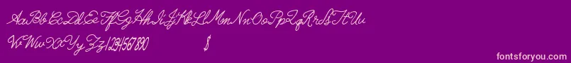 Weitere Informationen zur Radicalllamas-Schriftart Radicalllamas-Schriftart – Rosa Schriften auf violettem Hintergrund