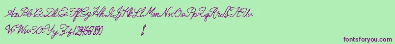 Radicalllamas Font – Purple Fonts on Green Background