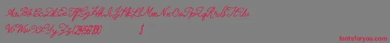 Radicalllamas Font – Red Fonts on Gray Background