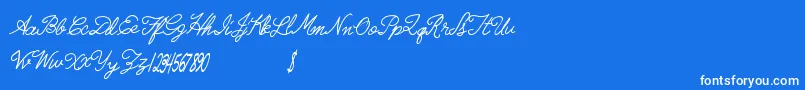 Radicalllamas Font – White Fonts on Blue Background
