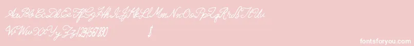 Radicalllamas Font – White Fonts on Pink Background