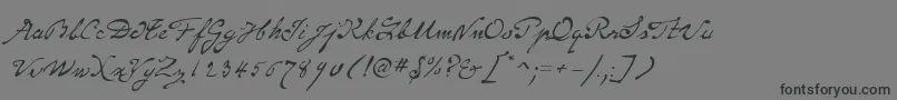 Подробнее о шрифте P22MonetRegular Шрифт P22MonetRegular – чёрные шрифты на сером фоне