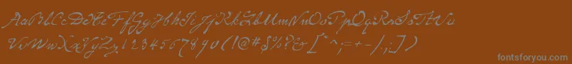 P22MonetRegular-fontti – harmaat kirjasimet ruskealla taustalla