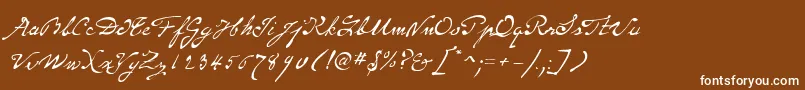 P22MonetRegular-Schriftart – Weiße Schriften auf braunem Hintergrund