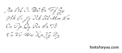 P22MonetRegular Font