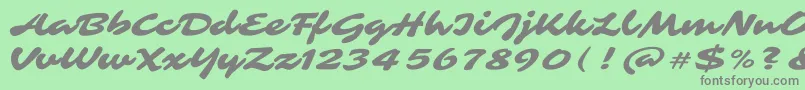 SarinaRegular Font – Gray Fonts on Green Background