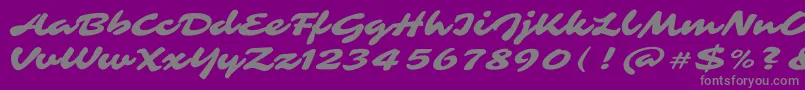 Weitere Informationen zur SarinaRegular-Schriftart SarinaRegular-Schriftart – Graue Schriften auf violettem Hintergrund