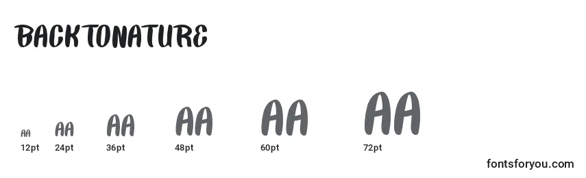 BackToNature Font Sizes