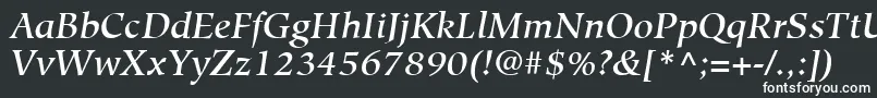 フォントHiroshigeLtMediumItalic – 黒い背景に白い文字