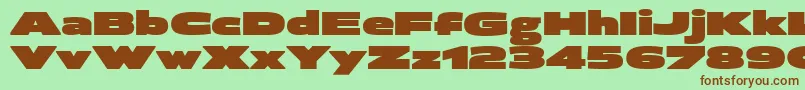 BrillerUltra Font – Brown Fonts on Green Background