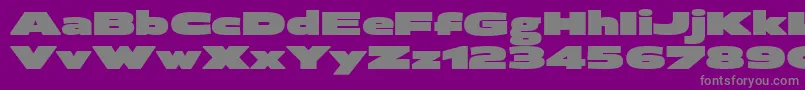 BrillerUltra Font – Gray Fonts on Purple Background