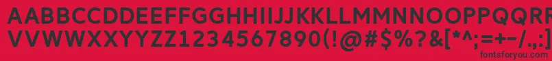 フォントReitamRegular – 赤い背景に黒い文字