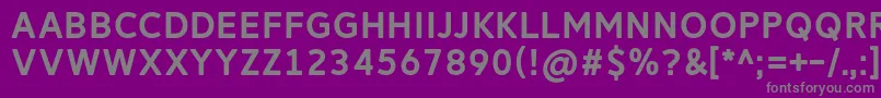 ReitamRegular Font – Gray Fonts on Purple Background