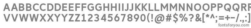 フォントReitamRegular – 白い背景に灰色の文字