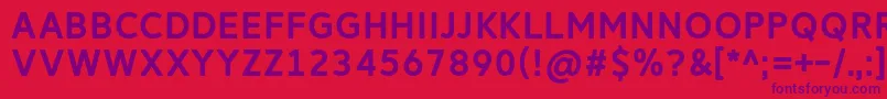 ReitamRegular Font – Purple Fonts on Red Background