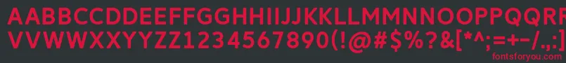 ReitamRegular Font – Red Fonts on Black Background