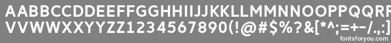 ReitamRegular Font – White Fonts on Gray Background