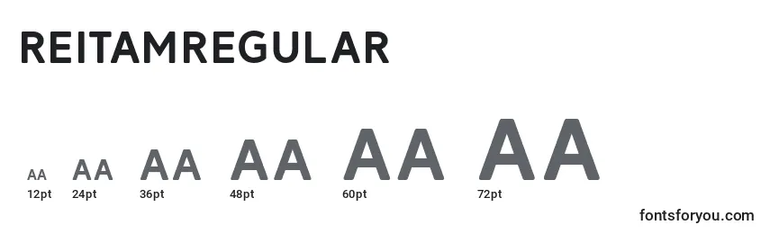 ReitamRegular Font Sizes