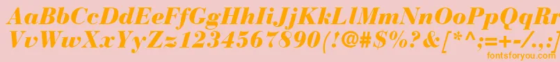 BodoniRecutBlackSsiBlackItalic-Schriftart – Orangefarbene Schriften auf rosa Hintergrund