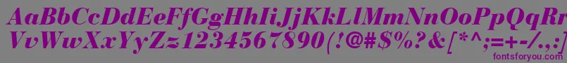 BodoniRecutBlackSsiBlackItalic Font – Purple Fonts on Gray Background