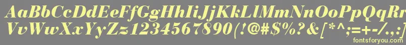 BodoniRecutBlackSsiBlackItalic Font – Yellow Fonts on Gray Background