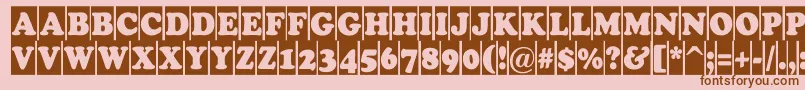 Cooper5 Font – Brown Fonts on Pink Background