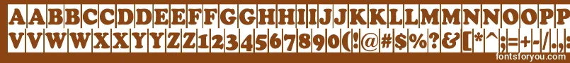 Cooper5 Font – White Fonts on Brown Background