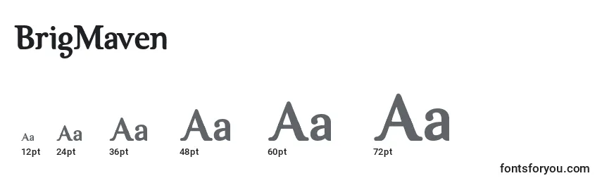 BrigMaven Font Sizes