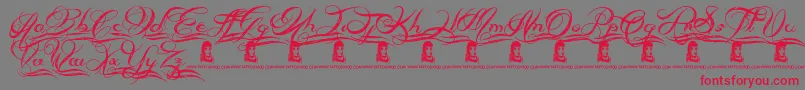 AlwaysBesideYou Font – Red Fonts on Gray Background