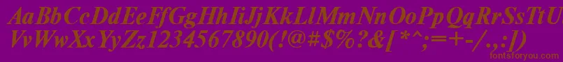 TimesdlBoldItalic-fontti – ruskeat fontit violetilla taustalla